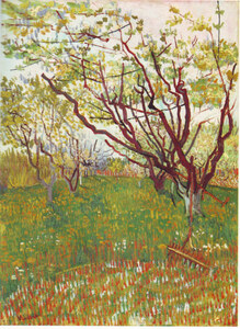Cherry Tree